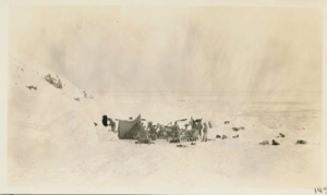 Image: Camp At front of Cape Alexander Glacier